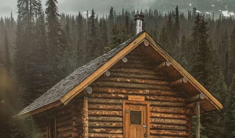 brown wooden cabin near trees during day