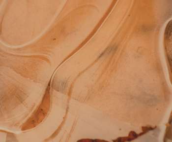 white and orange ceramic plate
