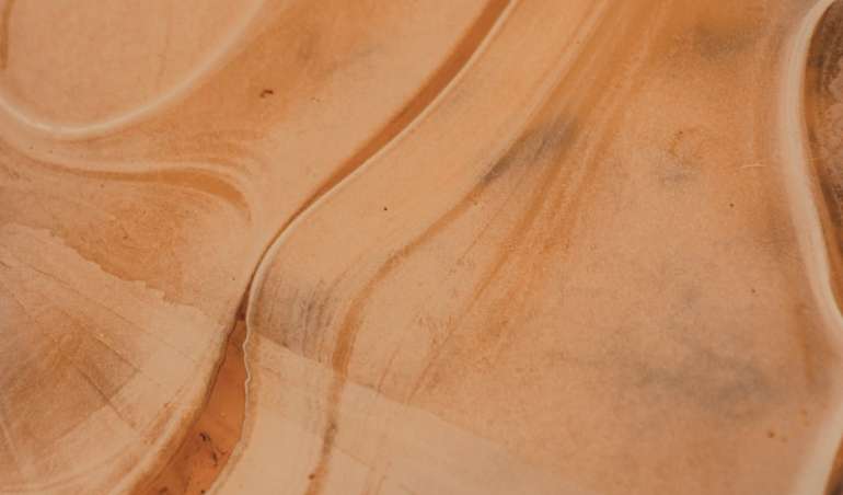 white and orange ceramic plate