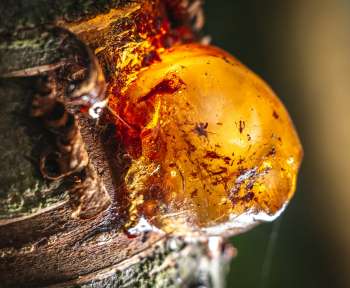 a close up of a fire