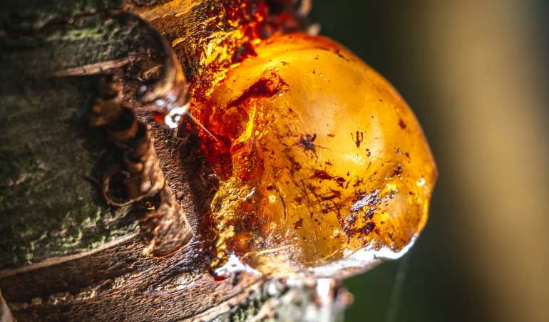 a close up of a fire