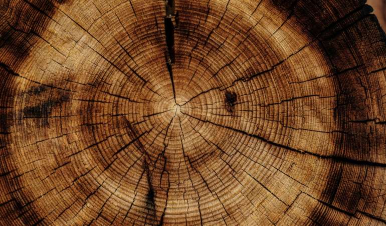 photo of brown wood slab